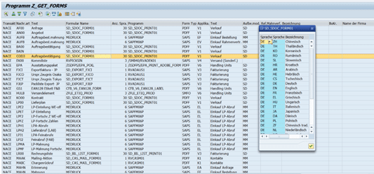 Slenderiser SAP Formular Analyzer -